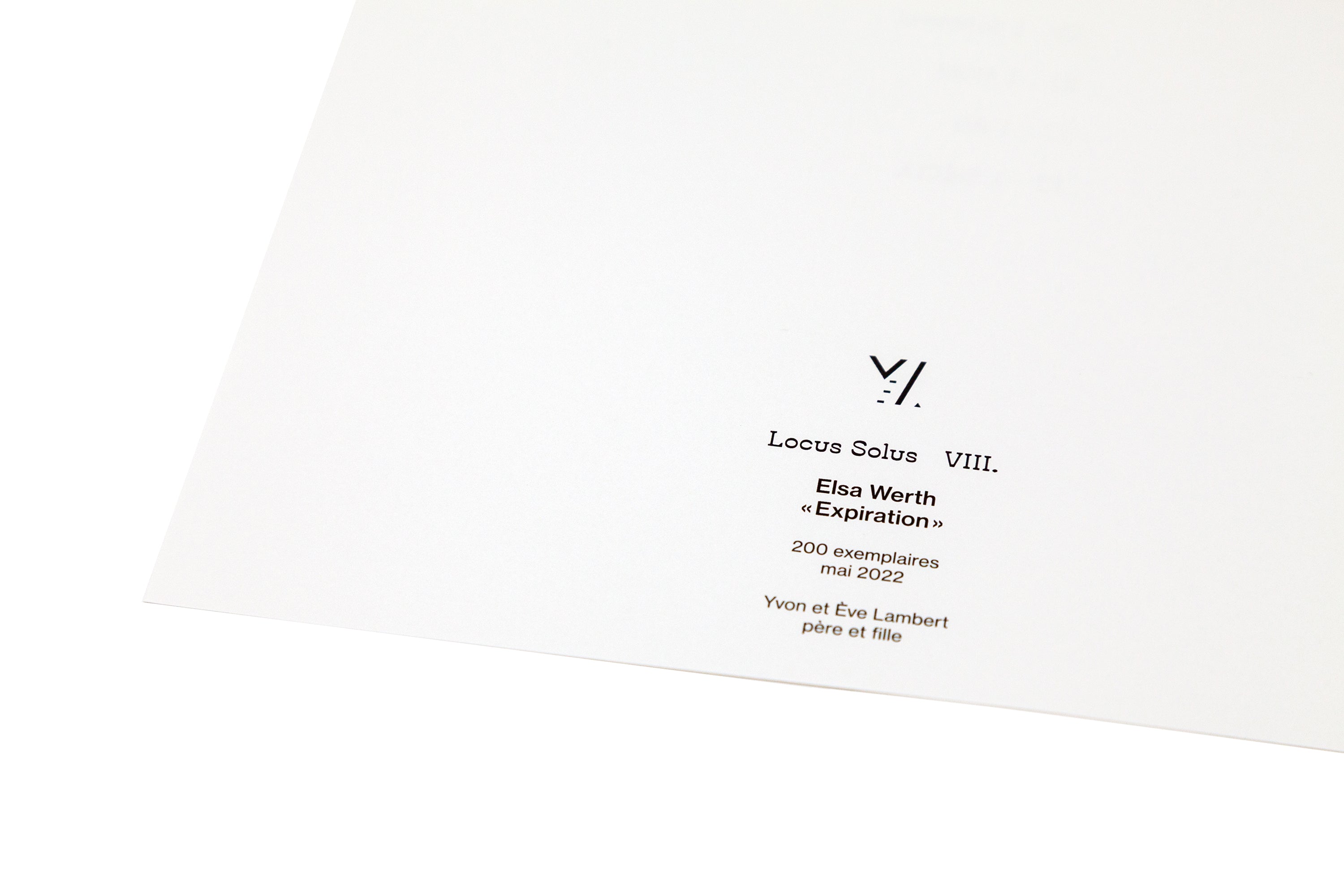 Locus Solus VIII. - Elsa Werth