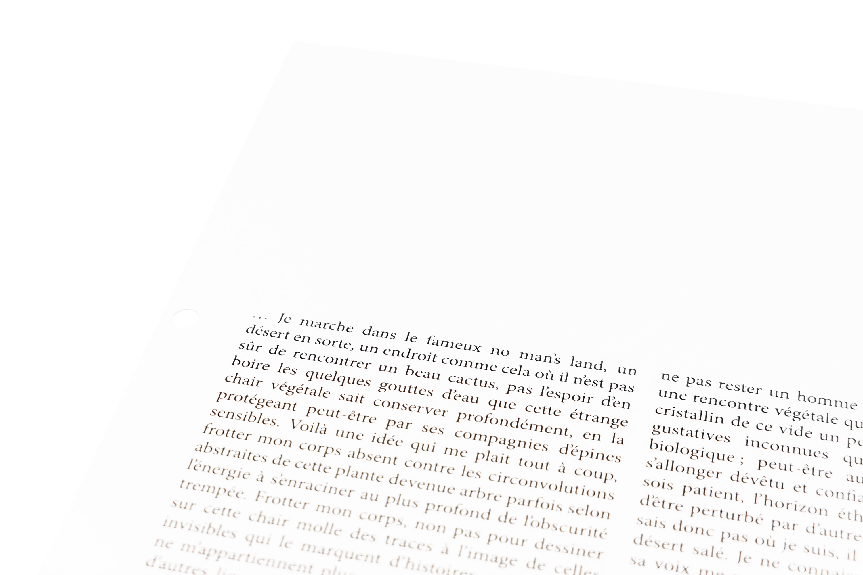 Locus Solus X. - Georges Tony Stoll