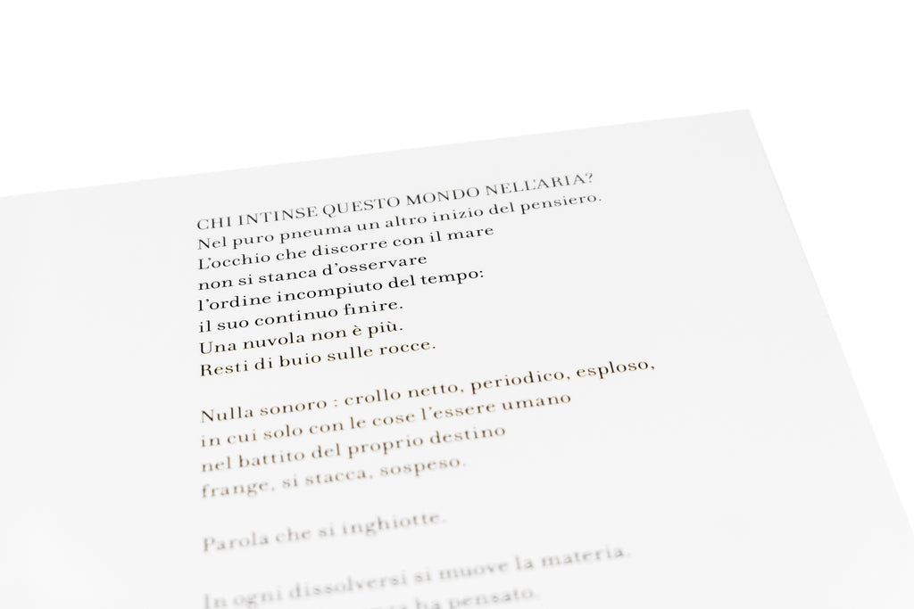 Locus Solus XI. - Federico Nicolao