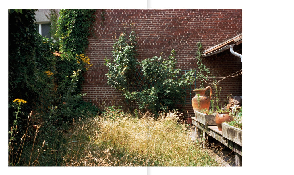 Dominique Nabokov - Tante Simone