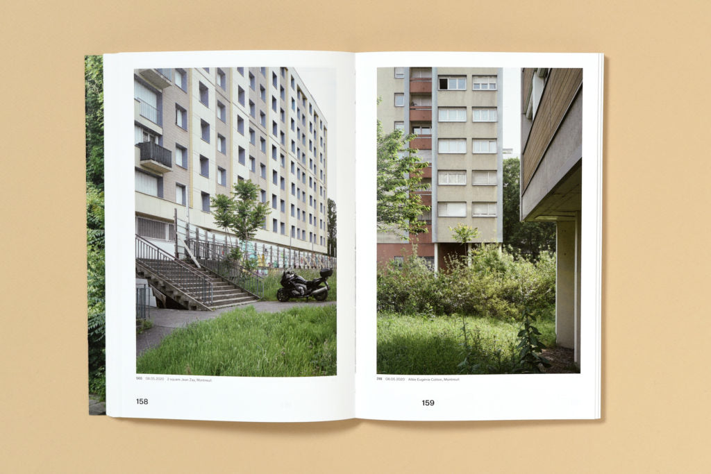 Simon Boudvin - Ailanthus Altissima, Une monographie située de l'ailante