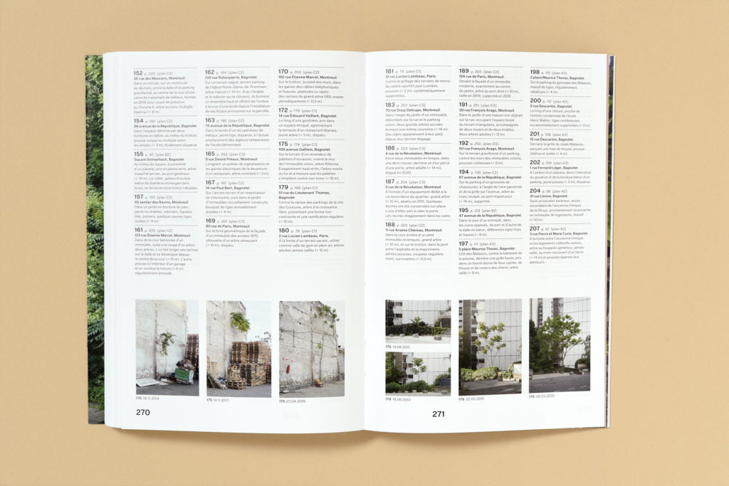 Simon Boudvin - Ailanthus Altissima, Une monographie située de l'ailante