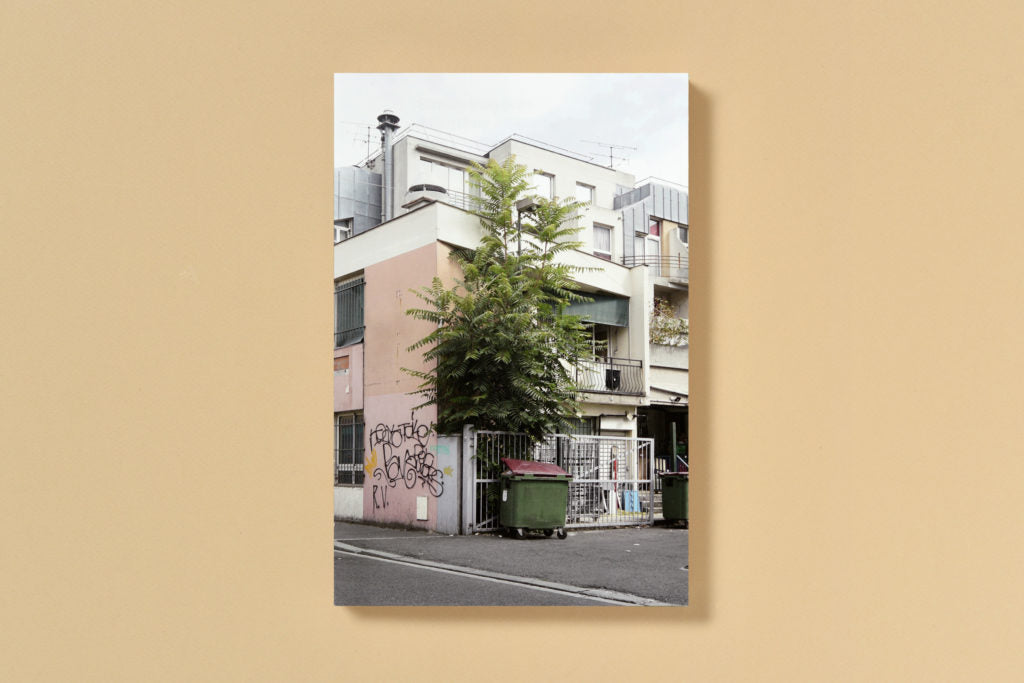 Simon Boudvin - Ailanthus Altissima, Une monographie située de l'ailante