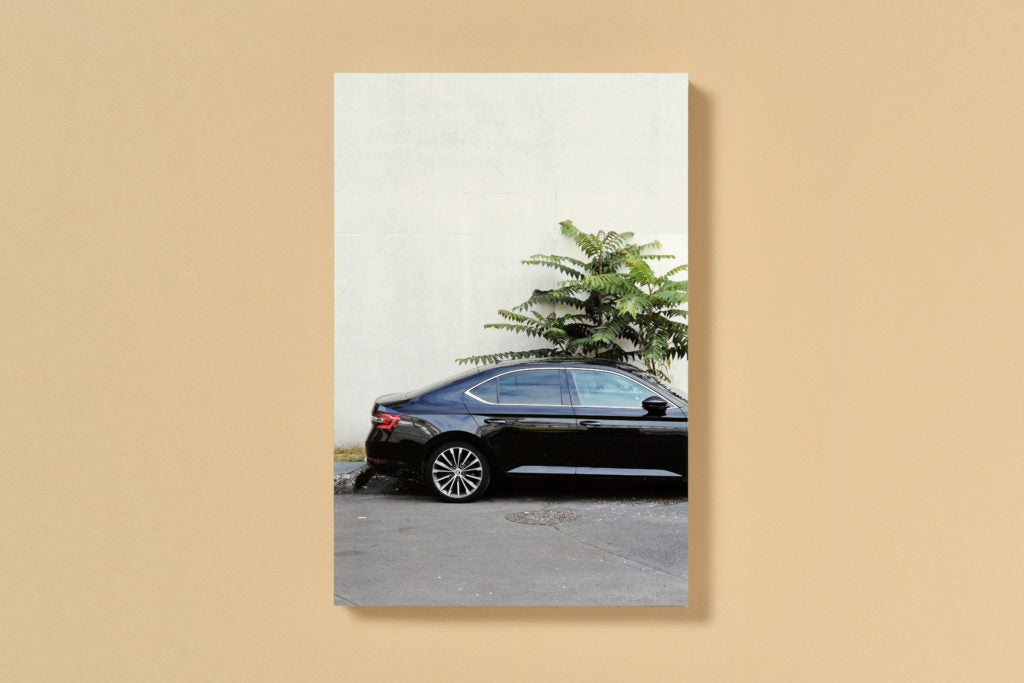 Simon Boudvin - Ailanthus Altissima, Une monographie située de l'ailante