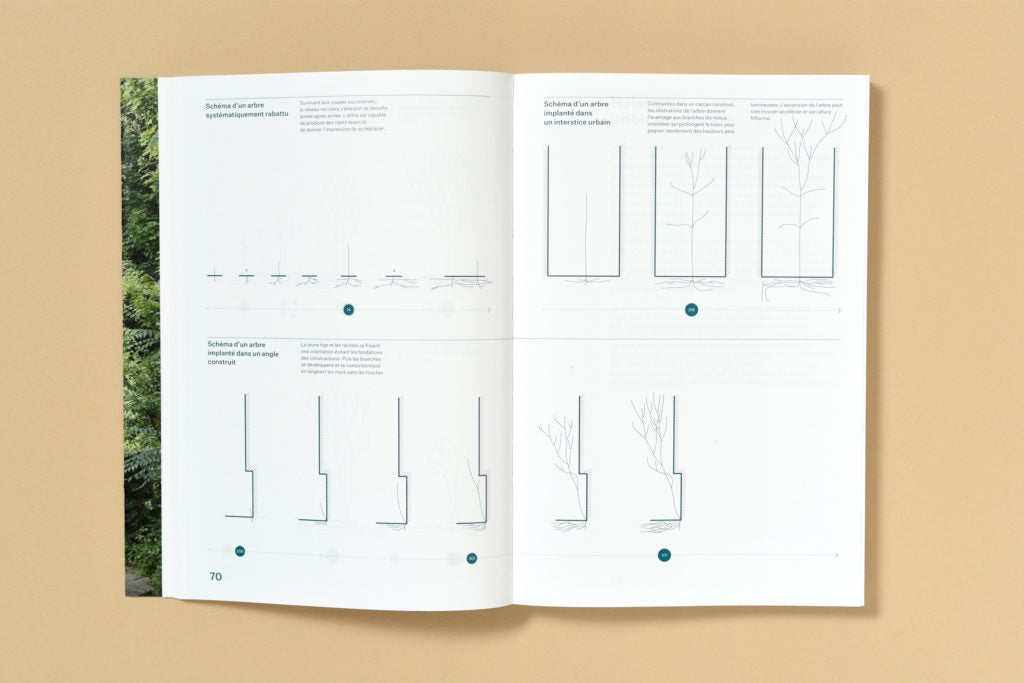 Simon Boudvin - Ailanthus Altissima, Une monographie située de l'ailante