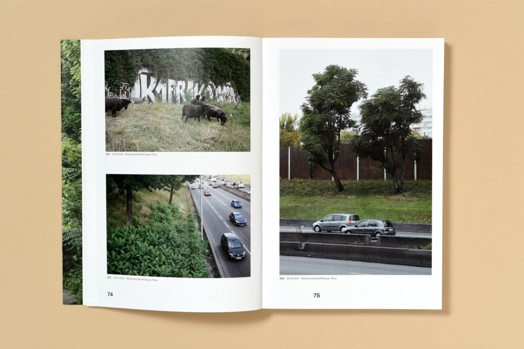 Simon Boudvin - Ailanthus Altissima, Une monographie située de l'ailante