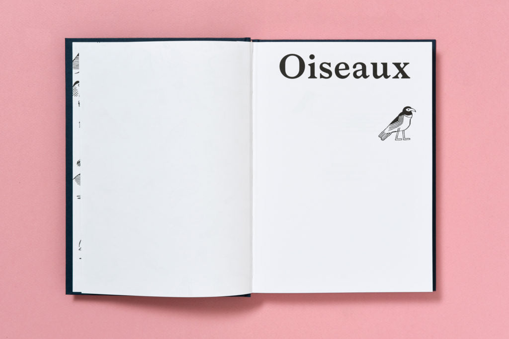 Emanuele Coccia, Jochen Gerner - Oiseaux (Inventaire chromatique réel et imaginaire)