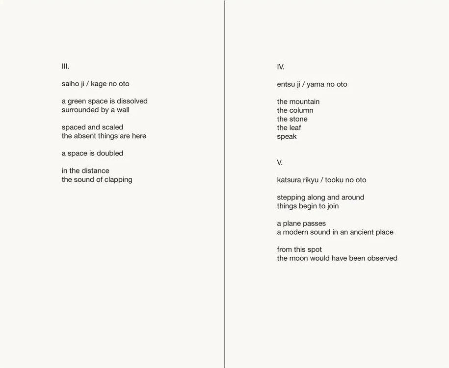 Nigel Peake - Blinking