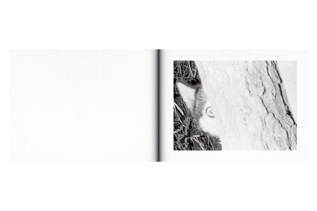 Issei Suda - Family Diary