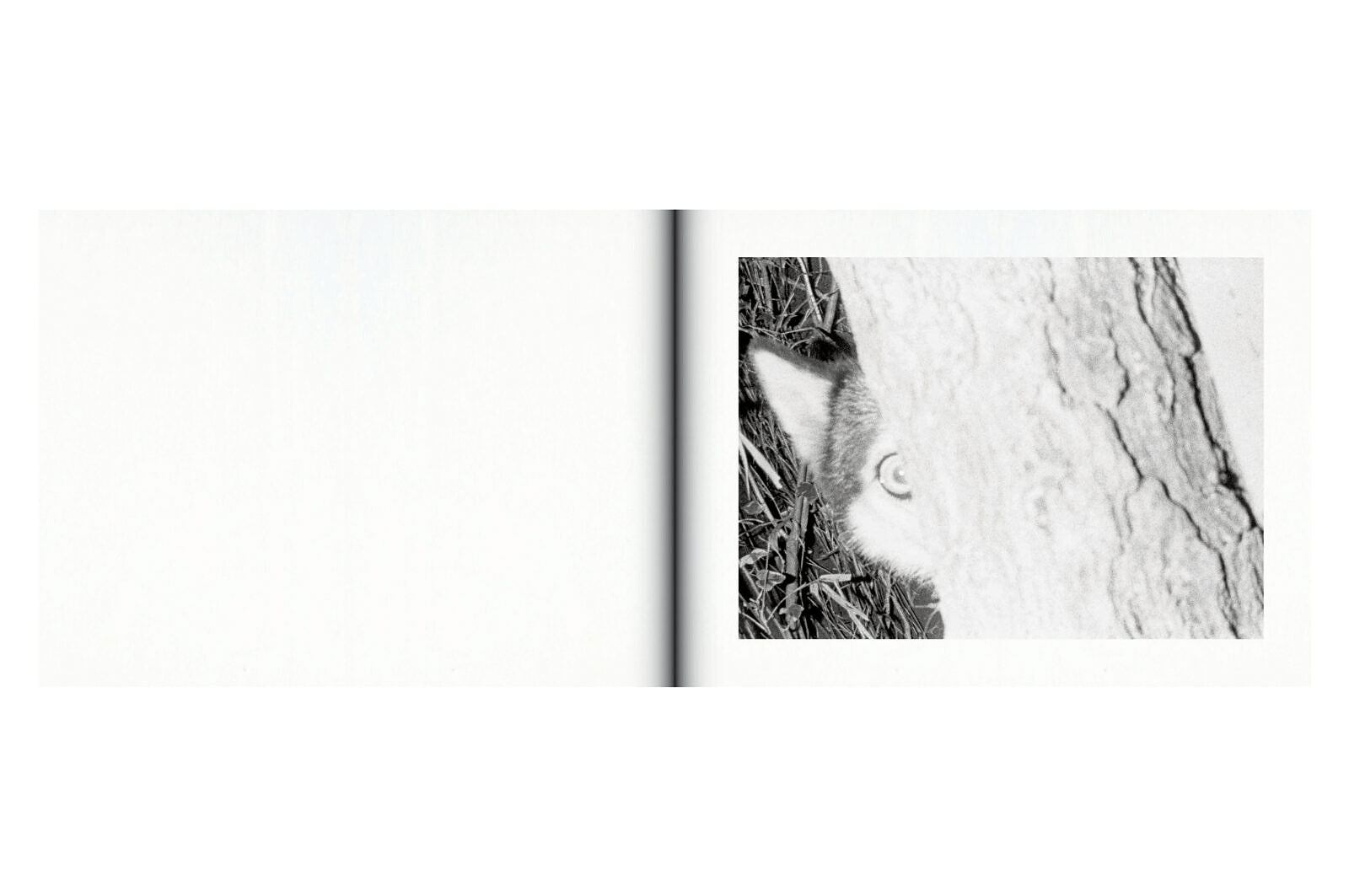 Issei Suda - Family Diary