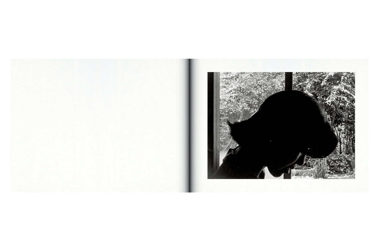 Issei Suda - Family Diary