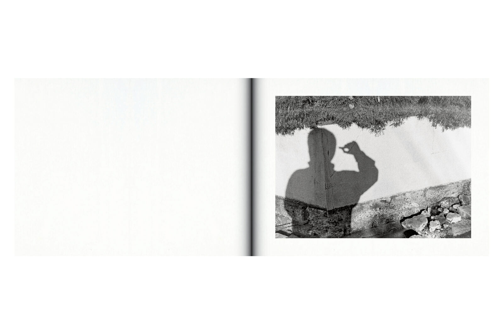 Issei Suda - Family Diary