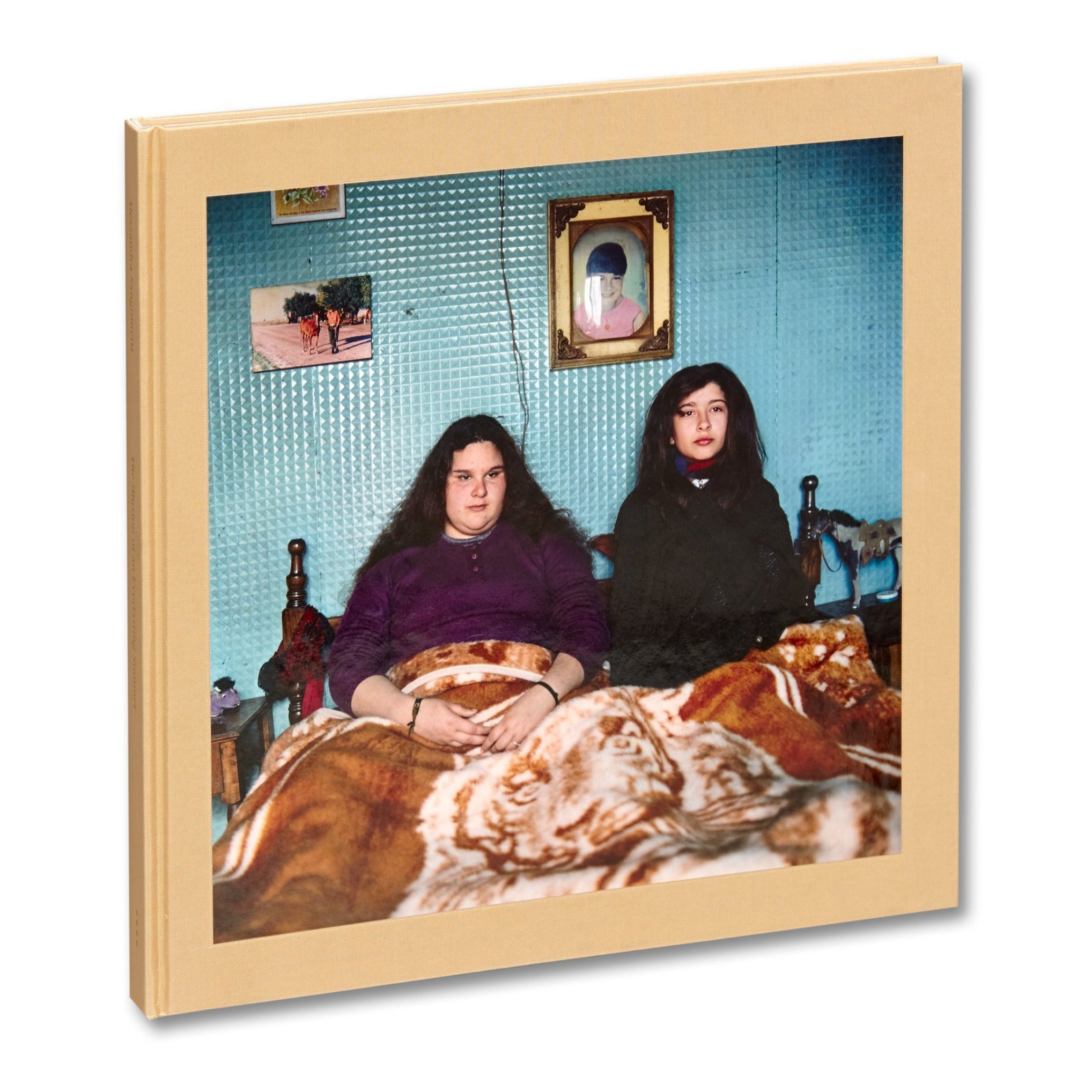 Alessandra Sanguinetti - The Adventures of Guille and Belinda and The Illusion of an Everlasting Summer