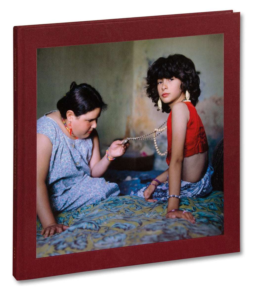 Alessandra Sanguinetti - The Adventures of Guille and Belinda and The Enigmatic Meaning of Their Dreams