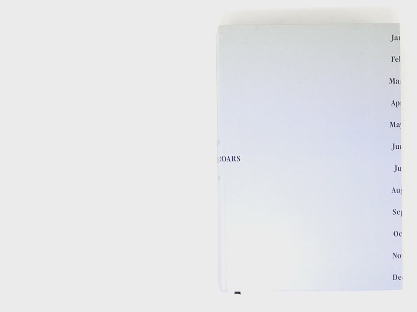 Anri Sala - Why The Lion Roars: Forecasts