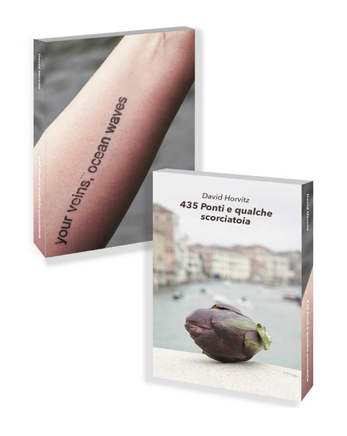 David Horvitz - 435 Ponti e qualche scorciatoia