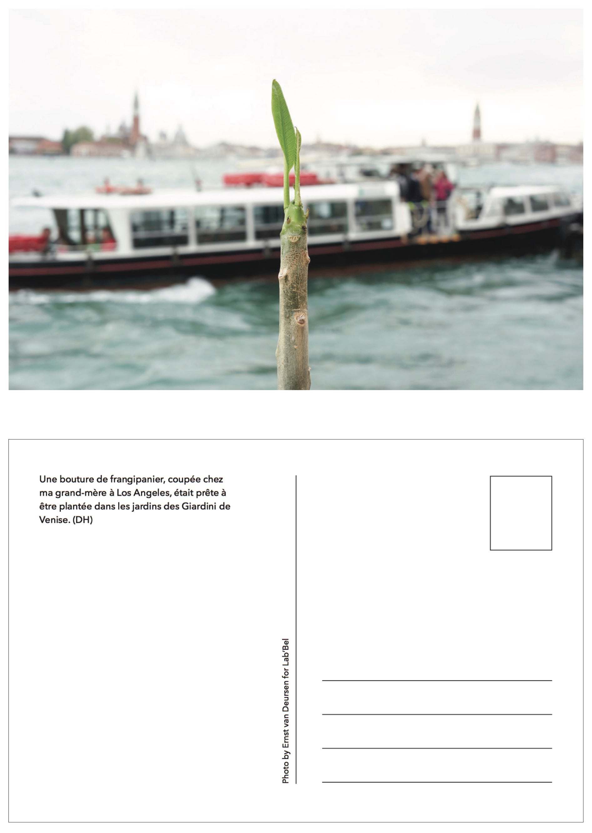 David Horvitz - 435 Ponti e qualche scorciatoia