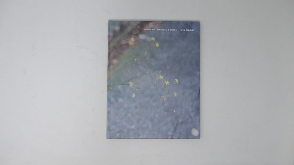 Ola Rindal - Notes on Ordinary Spaces