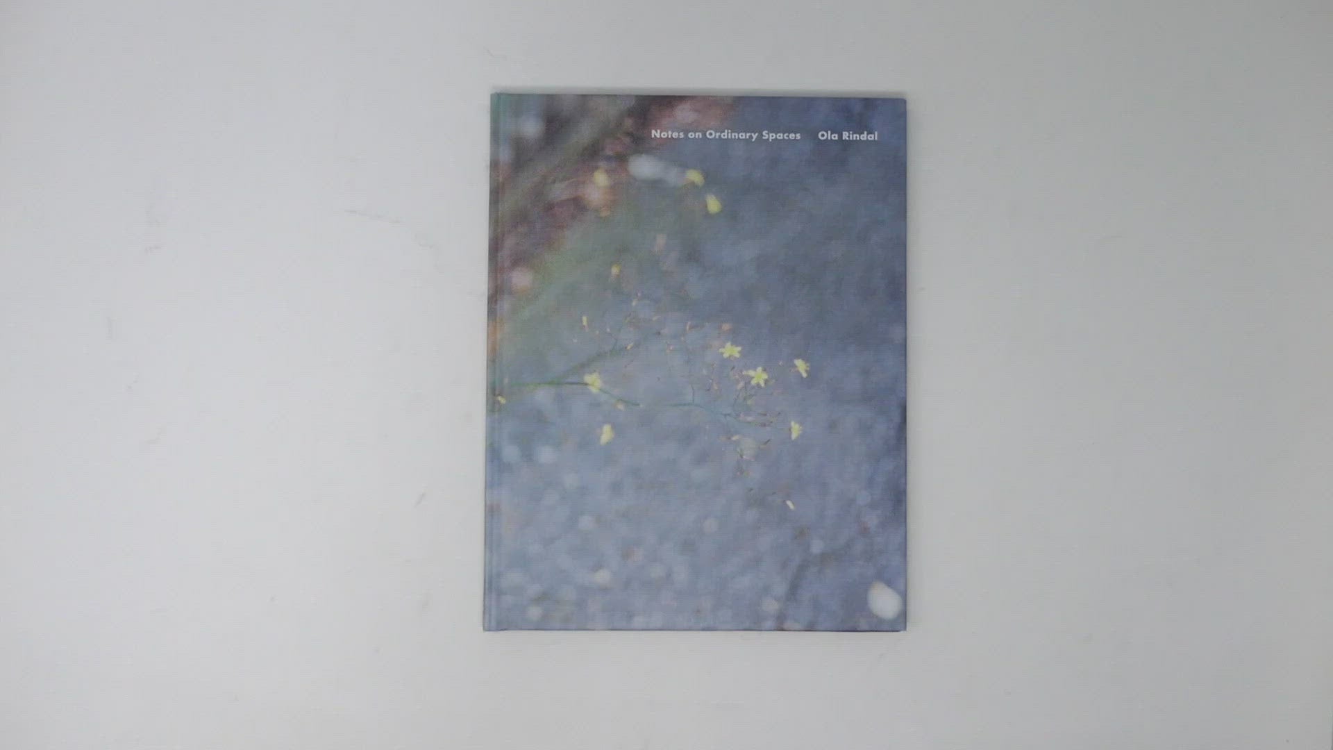 Ola Rindal - Notes on Ordinary Spaces