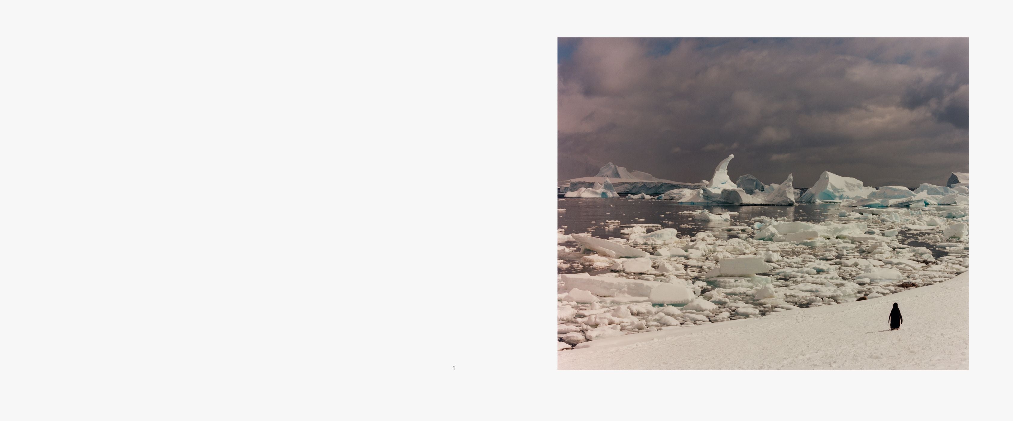 Jamie Hawkesworth - To The Antarctic (Signed / Signé)