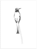 Nigel Peake <br><em>Birds of Japan</em>, 2020