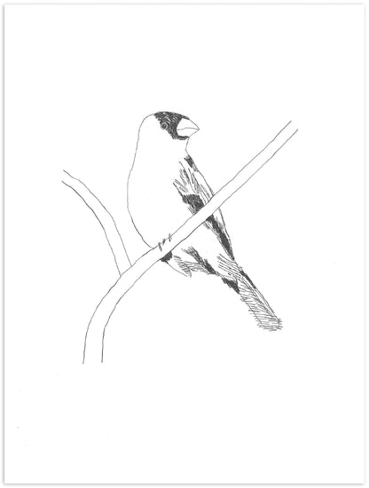 Nigel Peake - Birds of Japan