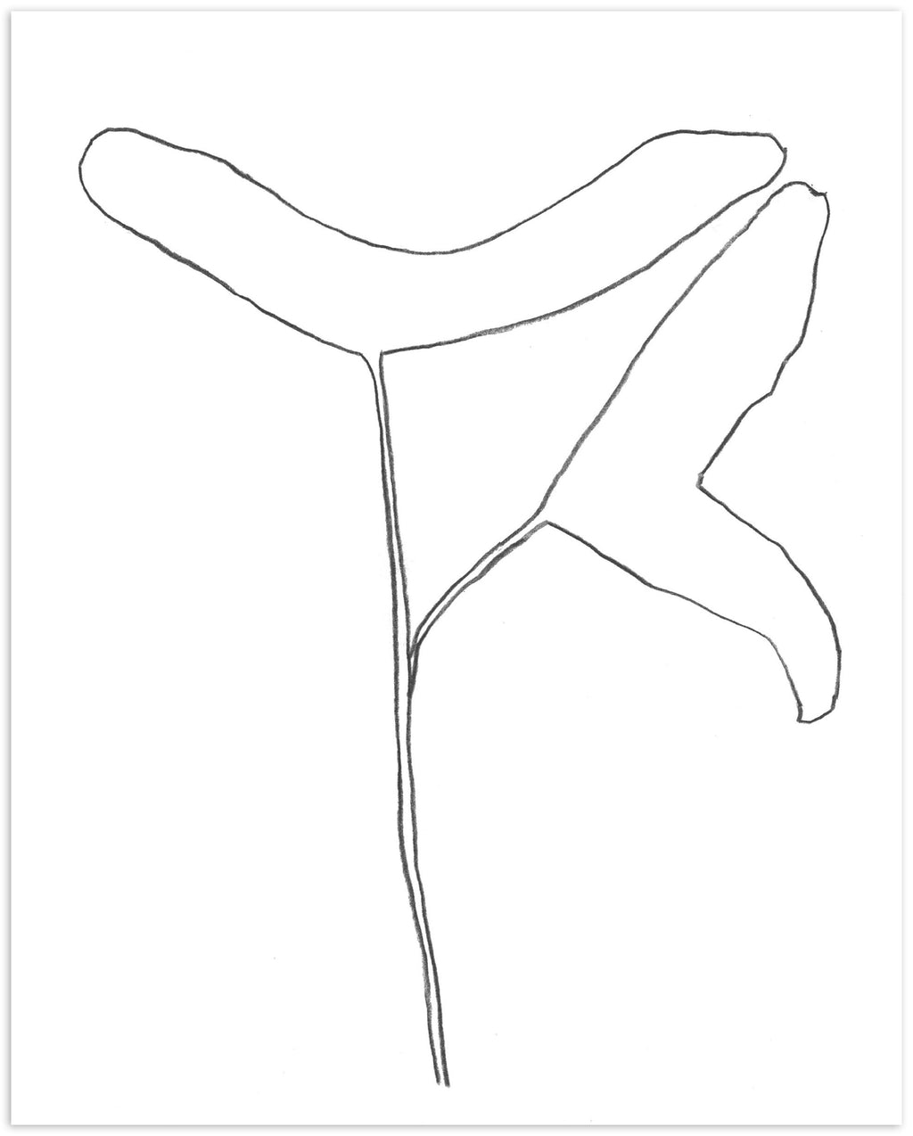 Nigel Peake - Propellor (Sycamore)