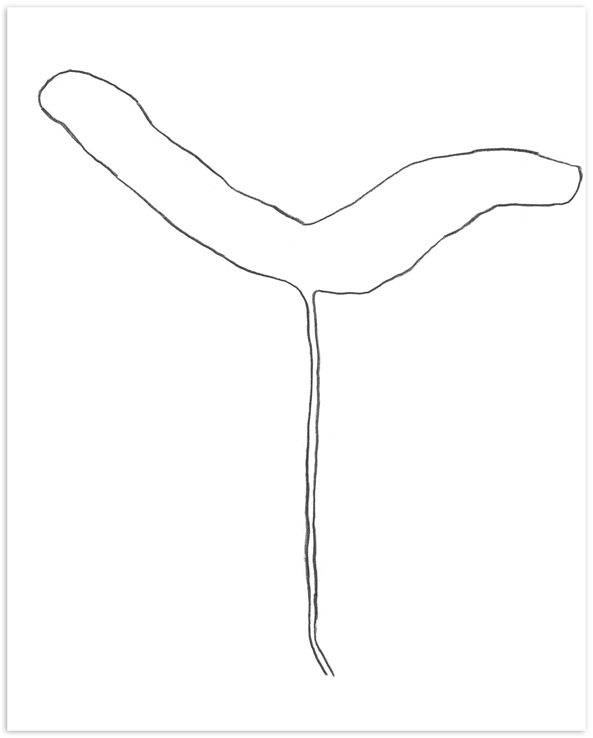 Nigel Peake - Propellor (Sycamore)