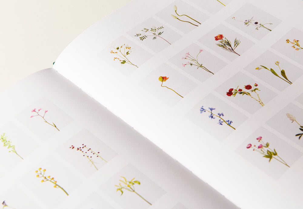 Julie Vallon - Flora Synthetica