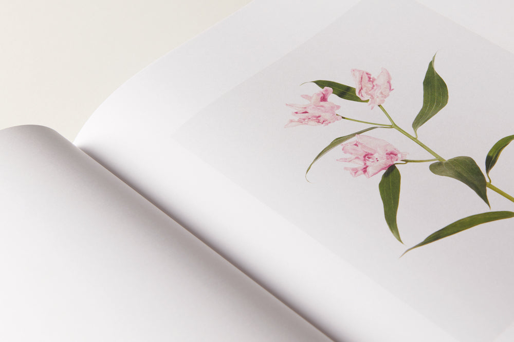 Julie Vallon - Flora Synthetica