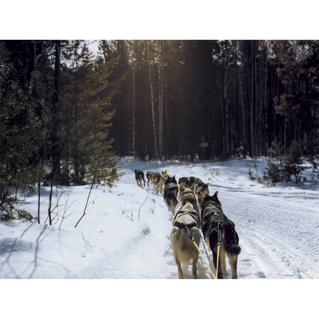 Coco Capitán - Trans-Siberian (Louis Vuitton Fashion Eye)