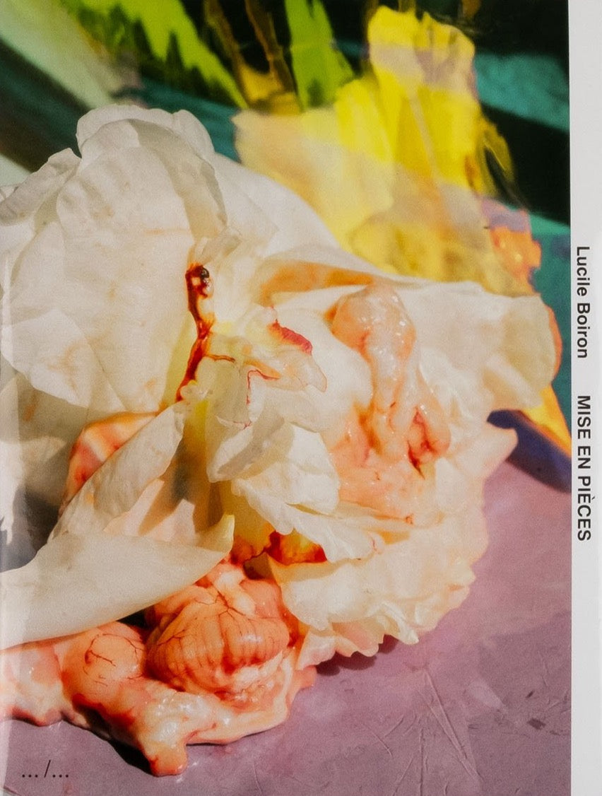 Lucile Boiron - Mise en Pièces