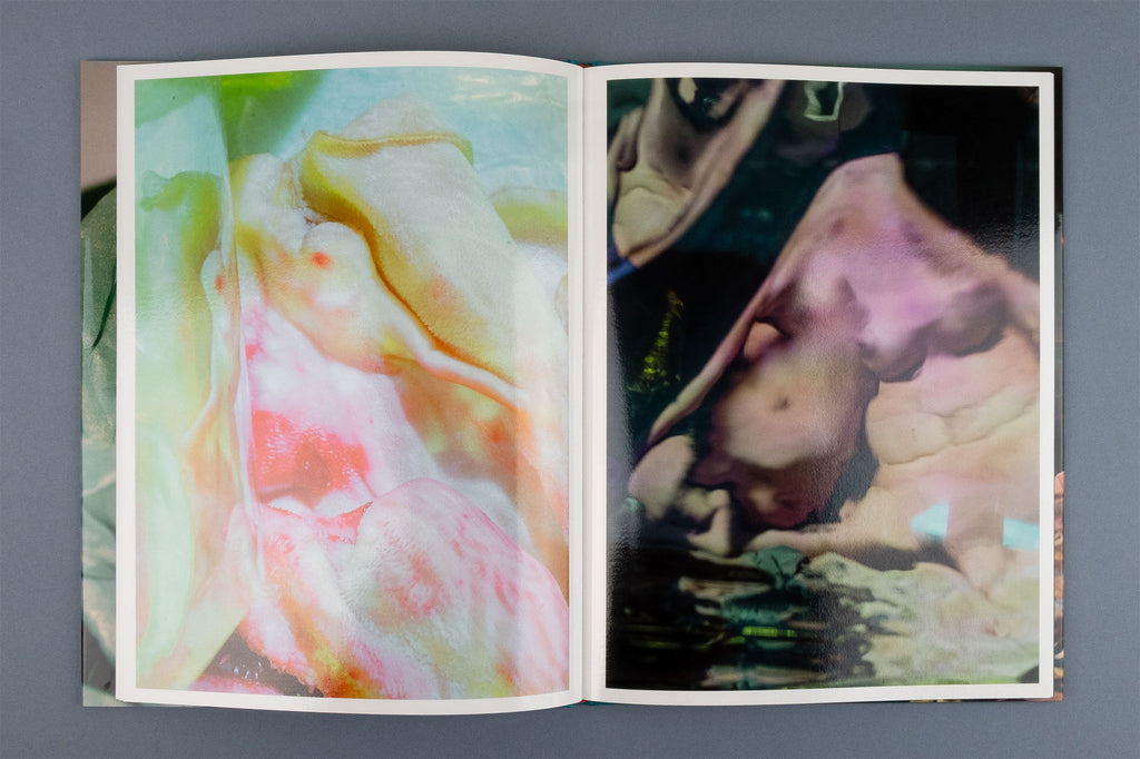 Lucile Boiron - Mise en Pièces