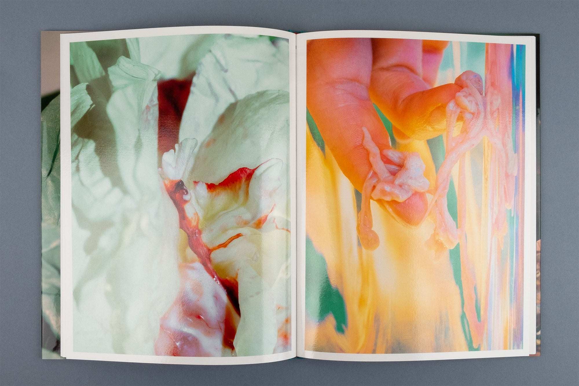 Lucile Boiron - Mise en Pièces