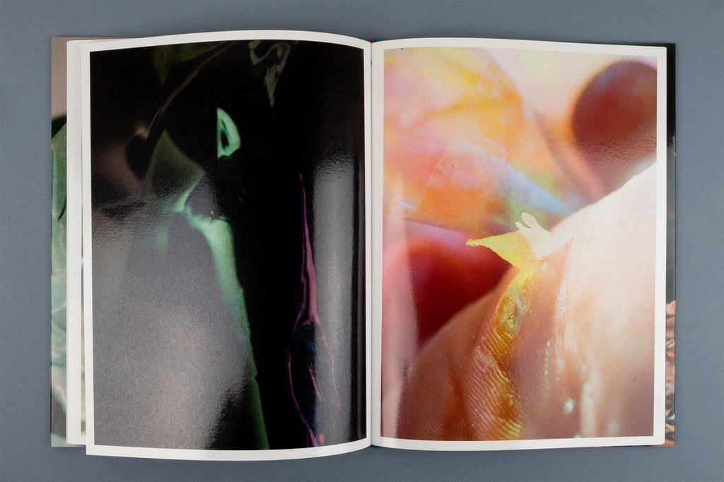 Lucile Boiron - Mise en Pièces