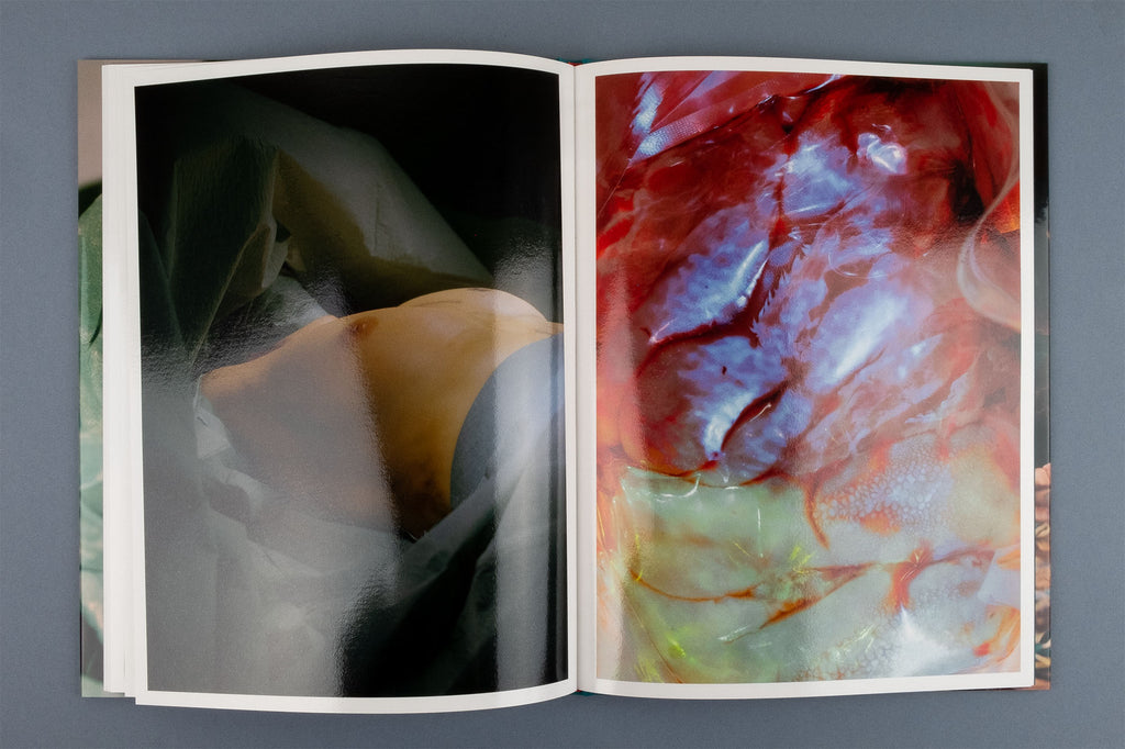 Lucile Boiron - Mise en Pièces