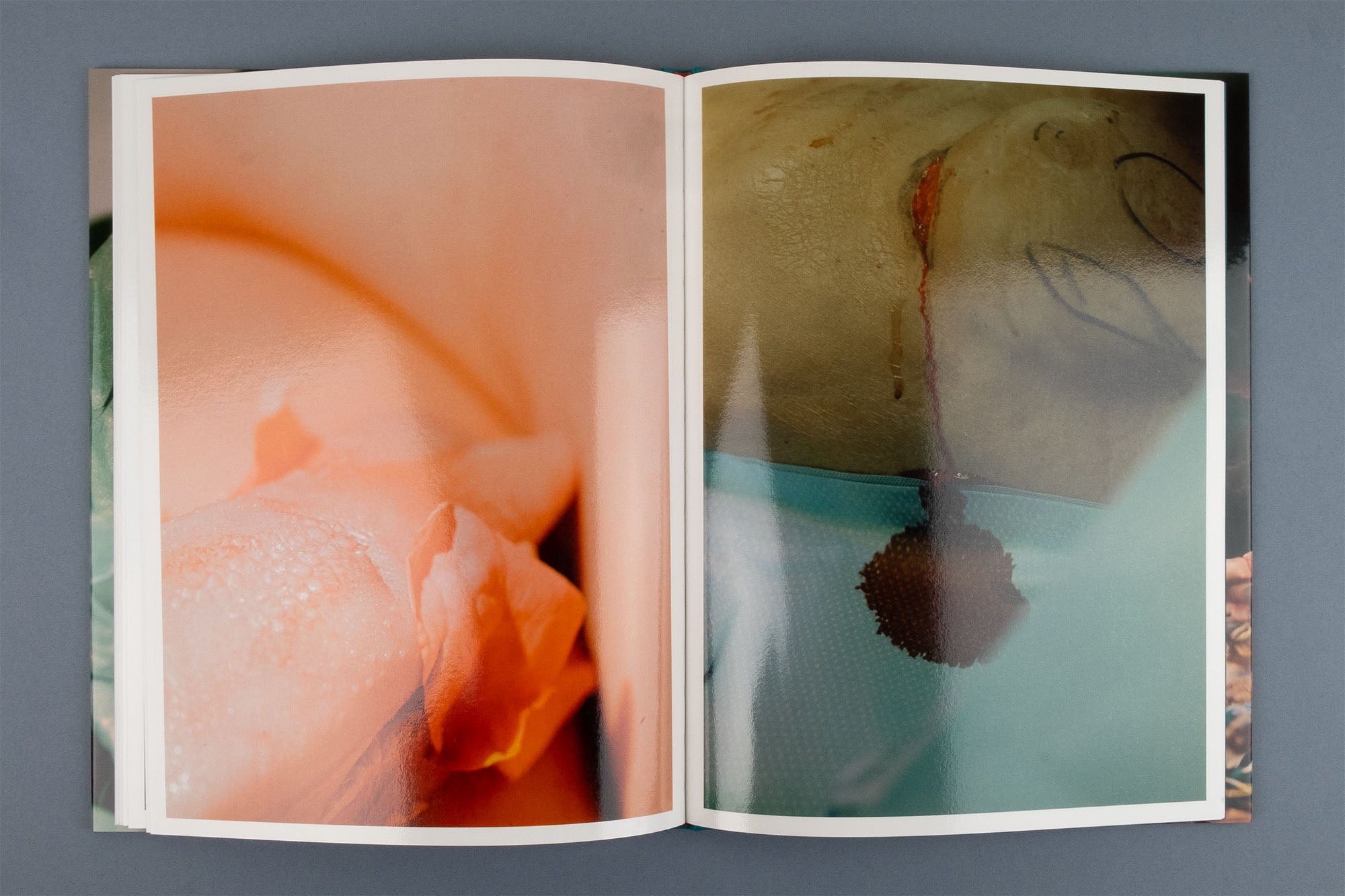 Lucile Boiron - Mise en Pièces