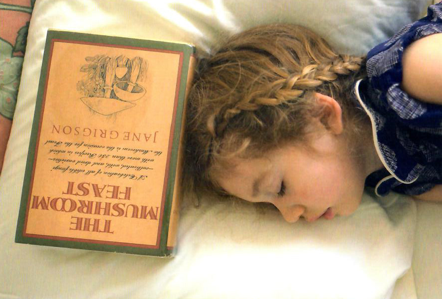 David Horvitz - How to influence your child's dreams (The Mushroom Feast)