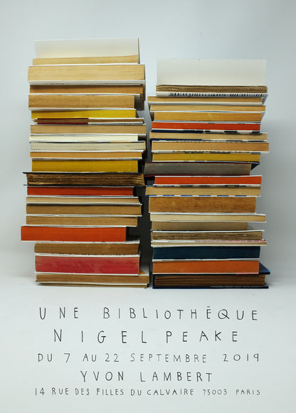Nigel Peake - Une Bibliothèque (print)