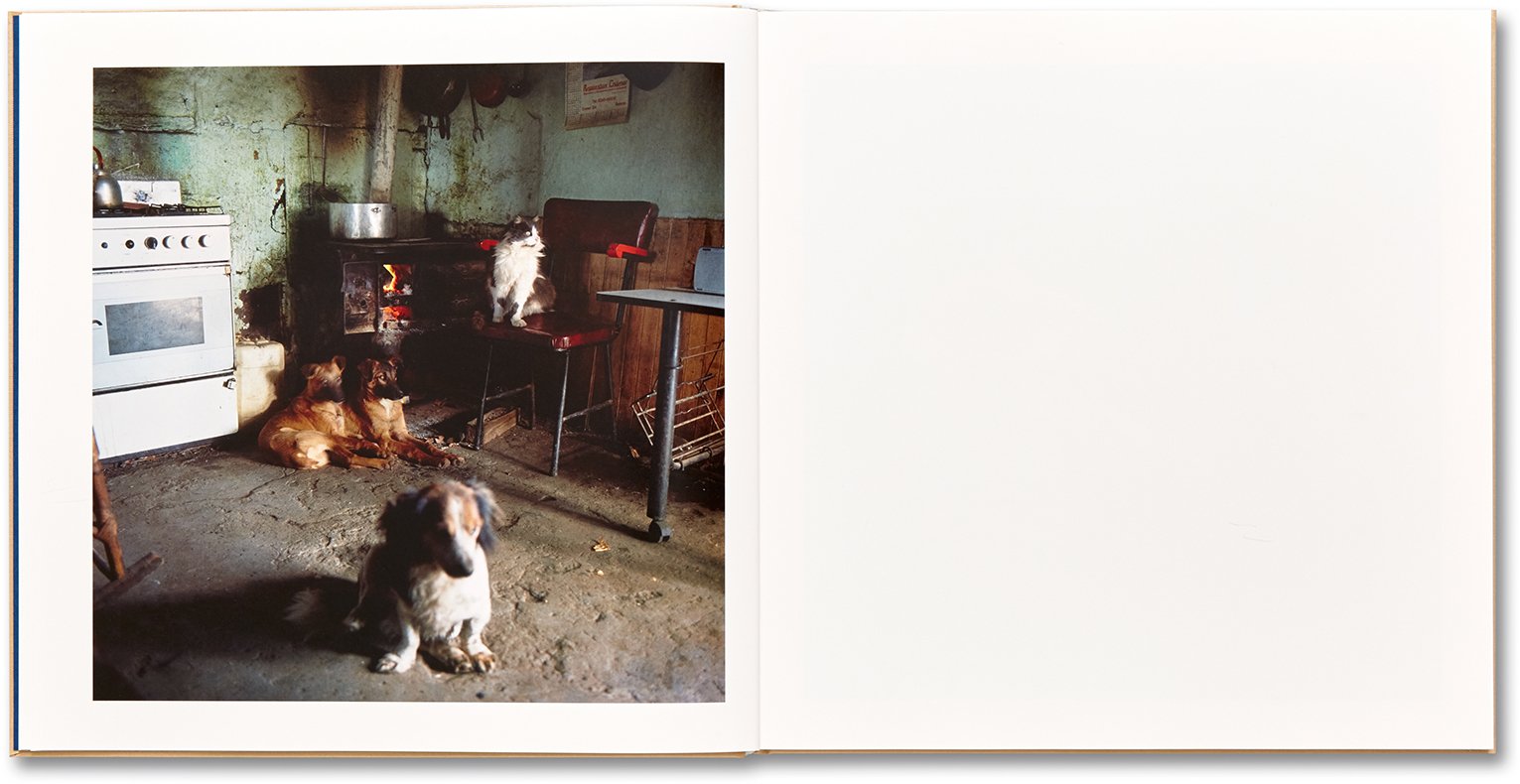 Alessandra Sanguinetti - The Adventures of Guille and Belinda and The Illusion of an Everlasting Summer