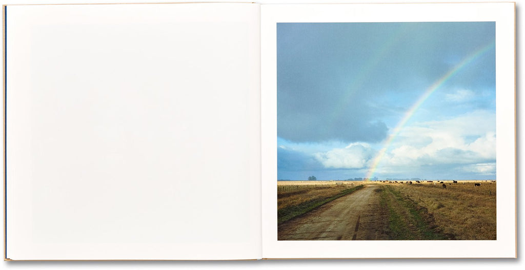 Alessandra Sanguinetti - The Adventures of Guille and Belinda and The Illusion of an Everlasting Summer