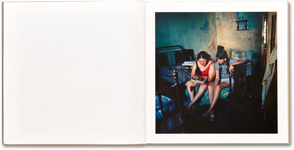 Alessandra Sanguinetti - The Adventures of Guille and Belinda and The Illusion of an Everlasting Summer