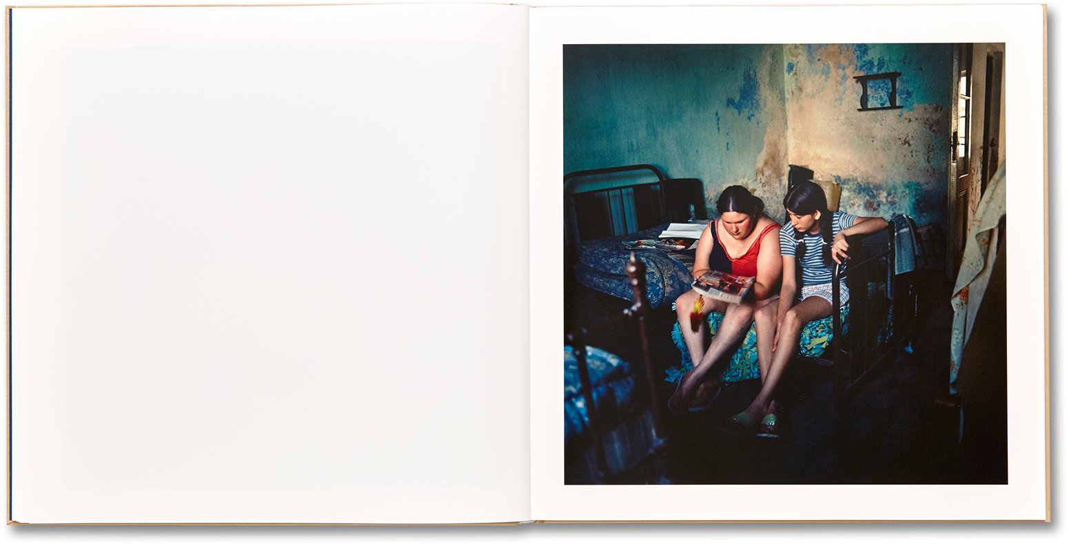 Alessandra Sanguinetti - The Adventures of Guille and Belinda and The Illusion of an Everlasting Summer