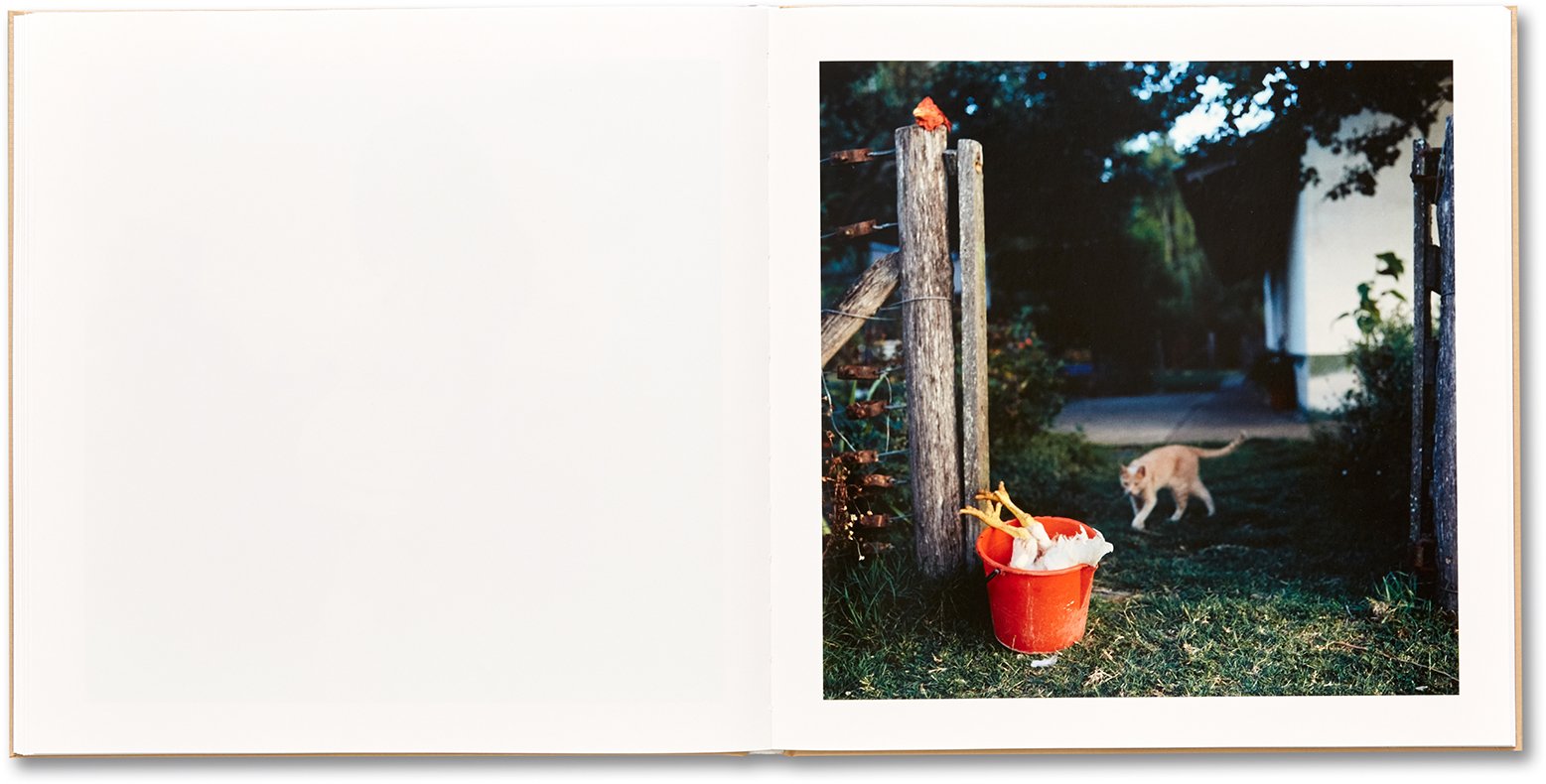 Alessandra Sanguinetti - The Adventures of Guille and Belinda and The Illusion of an Everlasting Summer