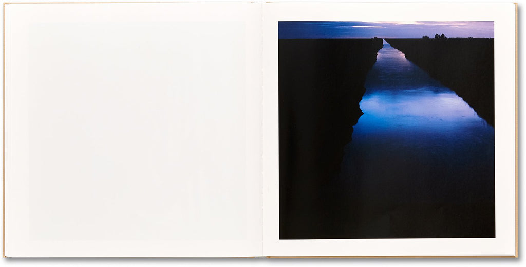 Alessandra Sanguinetti - The Adventures of Guille and Belinda and The Illusion of an Everlasting Summer