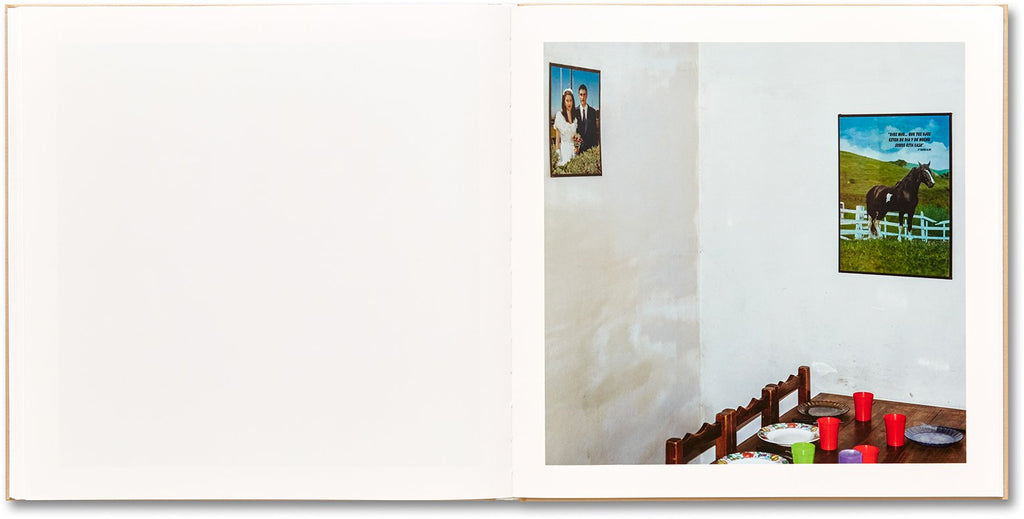 Alessandra Sanguinetti - The Adventures of Guille and Belinda and The Illusion of an Everlasting Summer