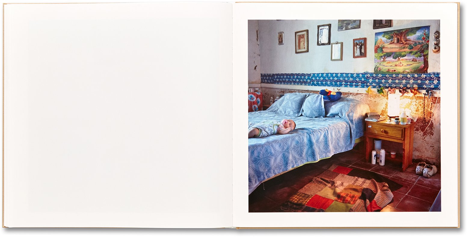 Alessandra Sanguinetti - The Adventures of Guille and Belinda and The Illusion of an Everlasting Summer