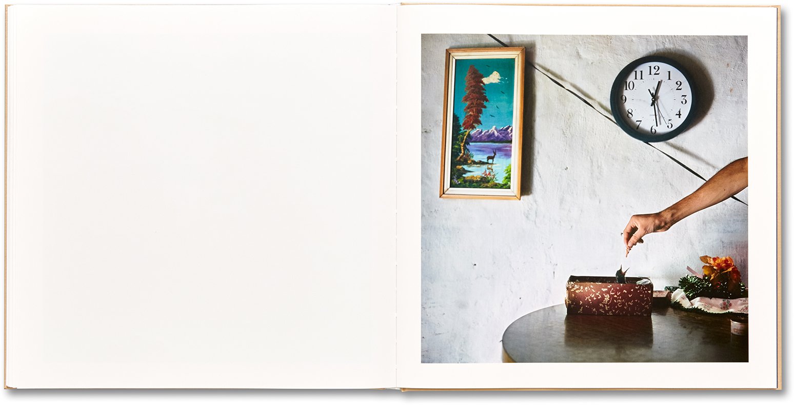 Alessandra Sanguinetti - The Adventures of Guille and Belinda and The Illusion of an Everlasting Summer