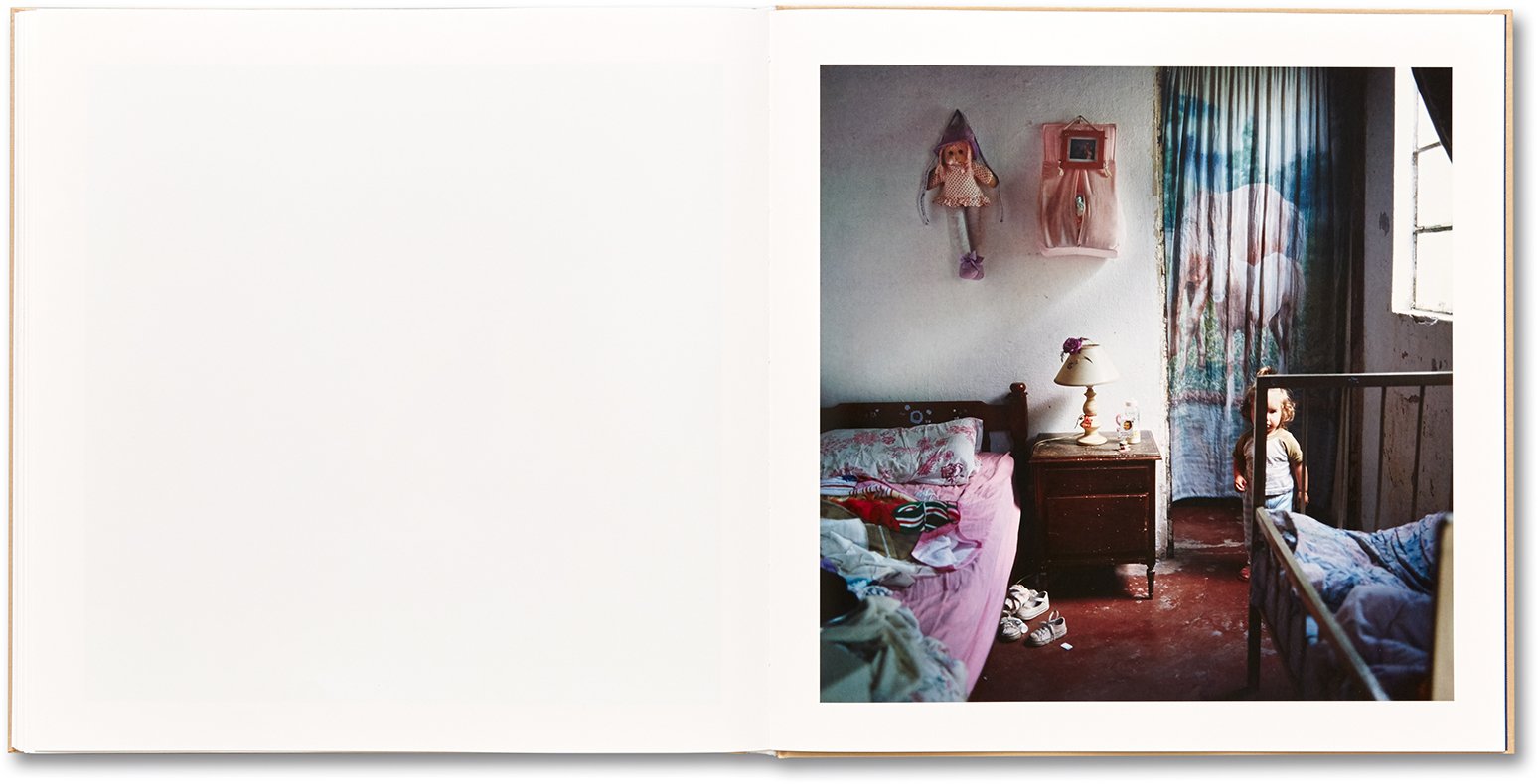 Alessandra Sanguinetti - The Adventures of Guille and Belinda and The Illusion of an Everlasting Summer