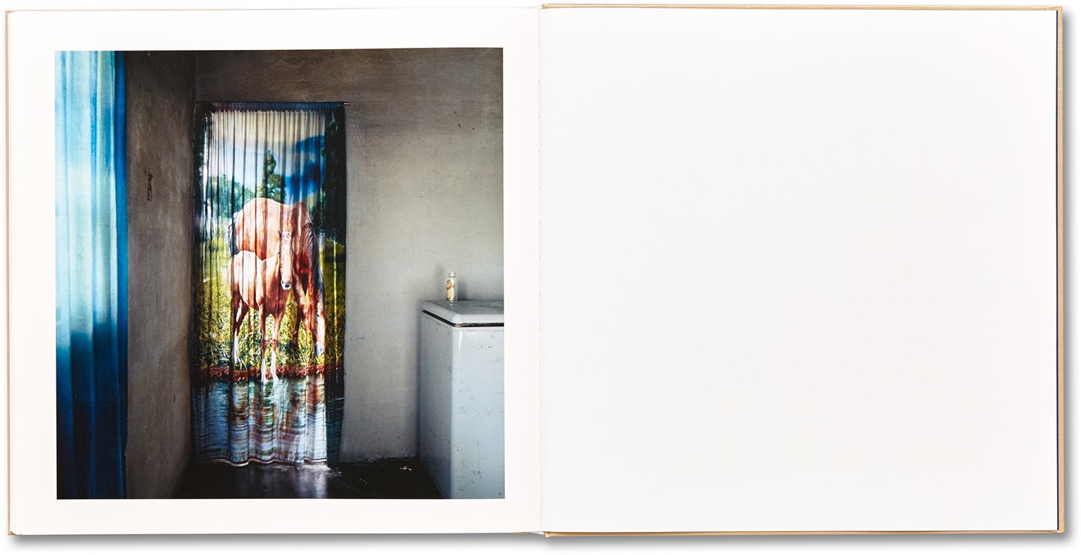 Alessandra Sanguinetti - The Adventures of Guille and Belinda and The Illusion of an Everlasting Summer